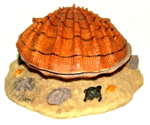 Kagyló dekoráció levegőporlasztóval - barna