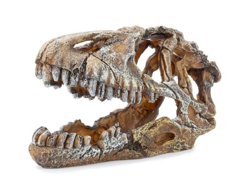 Dinoszaurusz koponya akvárium dekoráció, 17 cm