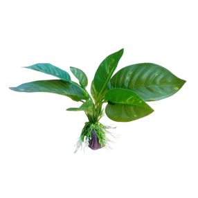 Akváriumi műnövény Anu 12 cm