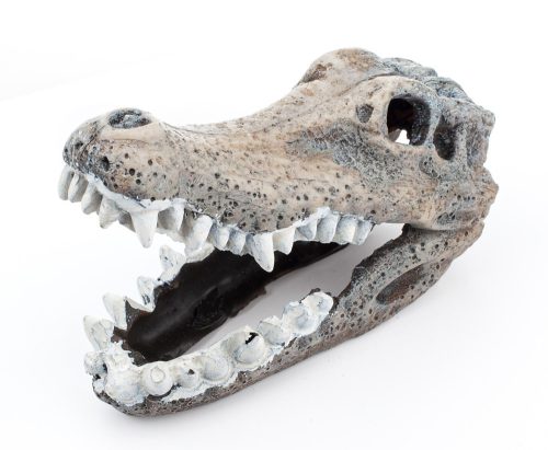 Krokodil koponya akvárium dekoráció