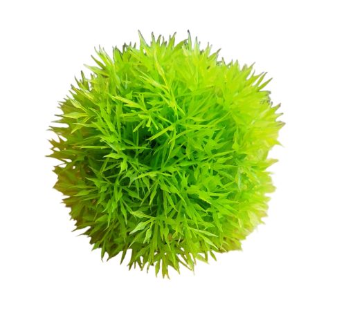 Akváriumi műnövény gömb - világos zöld