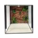 KONI pók terrárium üveg 25x25x25 cm + beépített 3D HÁTTÉR
