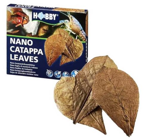 Hobby Catappa levél akváriumba nano méretben, 12 db