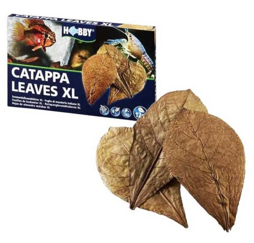 Hobby Catappa levél akváriumba XL méretben, 12 db
