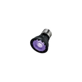   Repti-Zoo mini ultraibolya izzó terrárium világításba - 6W E27