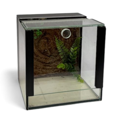 KONI pók terrárium üveg 15x15x15 cm + beépített HÁTTÉR