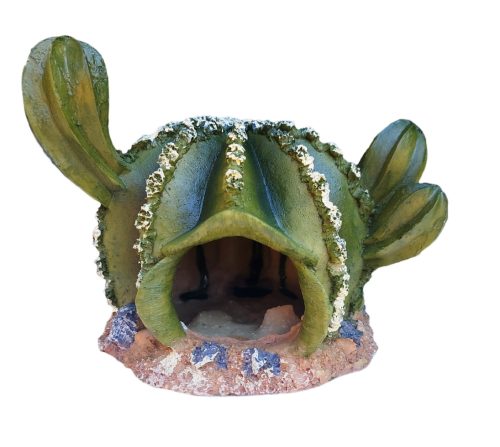 Kaktusz kunyhó akvárium / terrárium dekoráció
