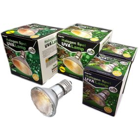 Giangarden UVA halogén terrárium izzó E27, 75W 