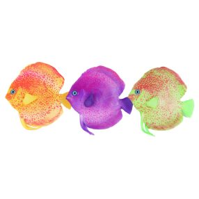 Diszkoszhal lebegő akvárium dekoráció