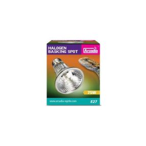 Arcadia Halogen Spot 75W E27 terrárium melegítő izzó