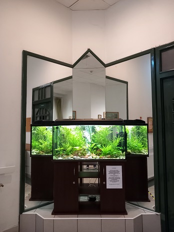 Idősek otthona folyosón tükrös sarokban növényes díszakvárium