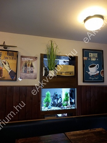 Belvárosi étteremben falba épített térelválasztó díszakvárium aranyhalakkal