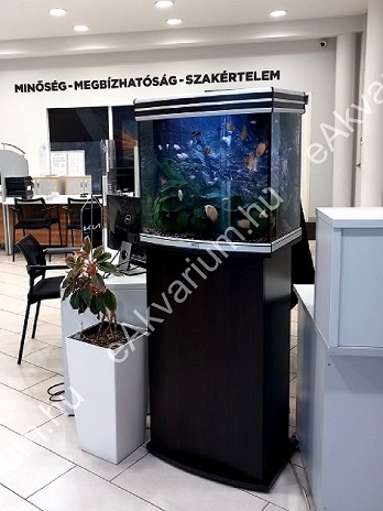 Autószalonban elhelyezett oszlopos díszakvárium