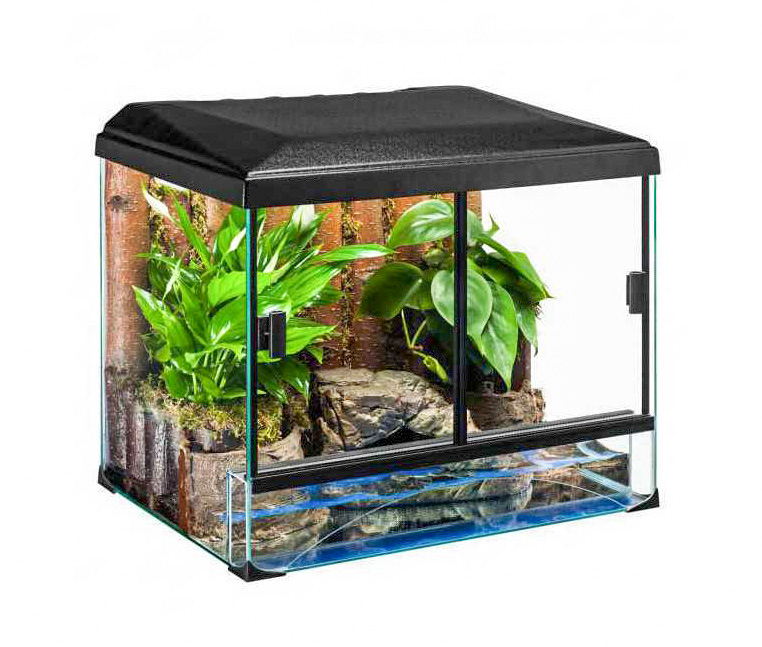 Miért válasszunk terráriumot?